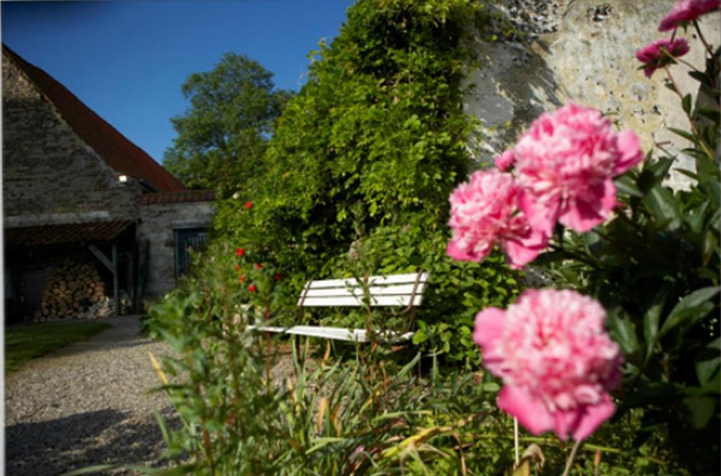 Château De Cocove Recques-sur-Hem Exterior foto